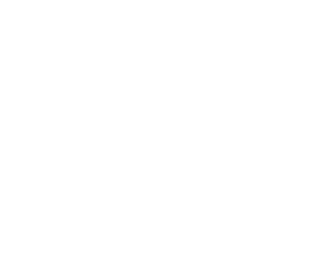entwickler Summit